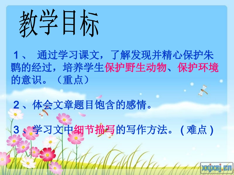 朱鹮飞回来了PPT_第3页