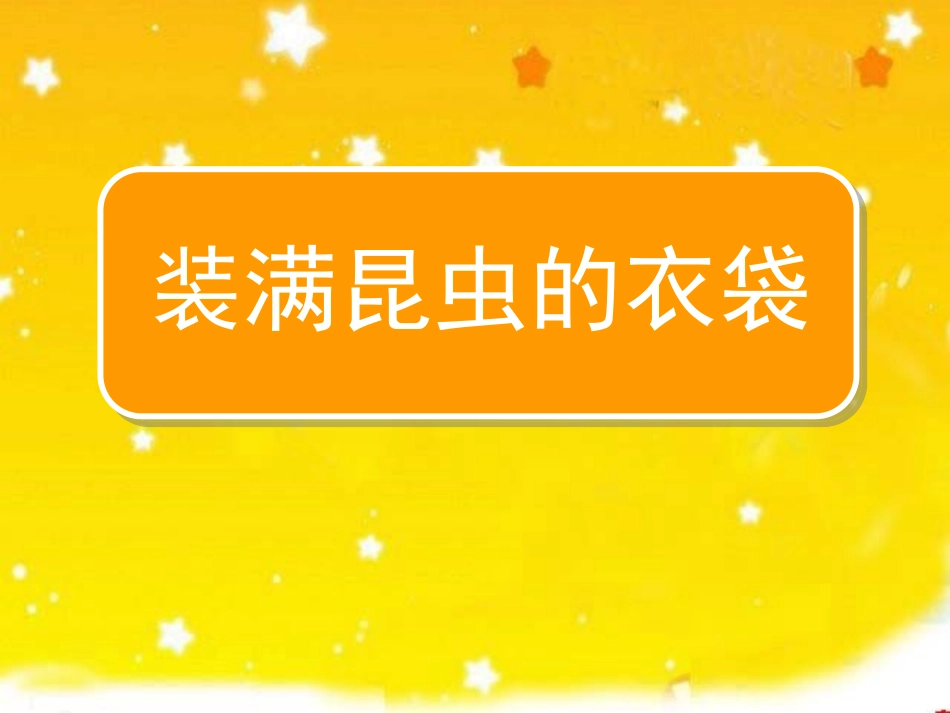 装满昆虫的衣袋_第1页