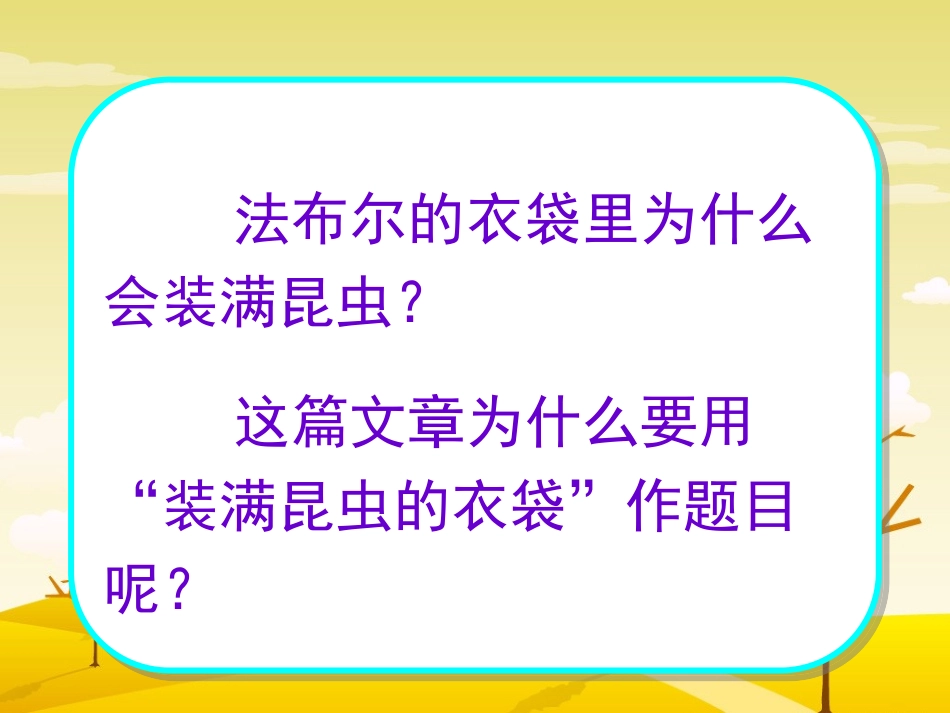 装满昆虫的衣袋_第2页
