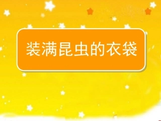 装满昆虫的衣袋