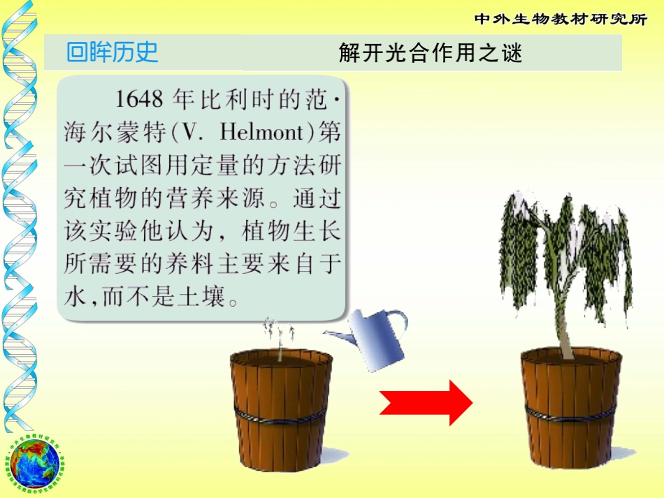 光合作用 (3)_第3页