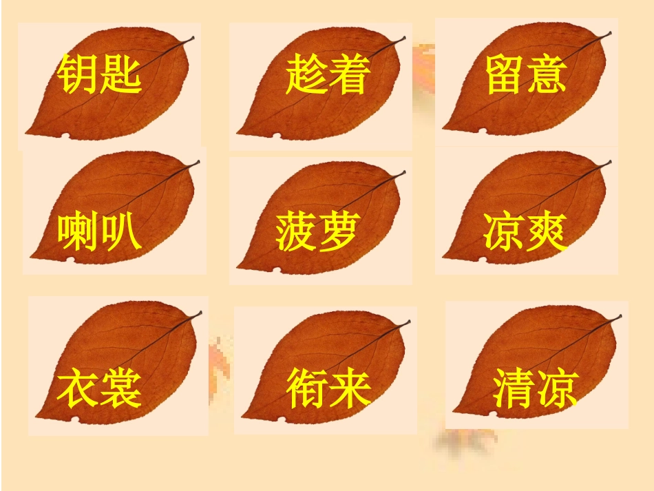 秋天的雨好课件_第3页