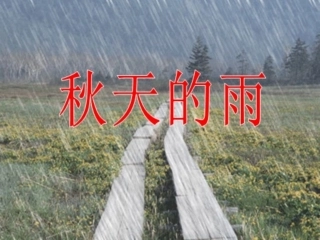 秋天的雨好课件