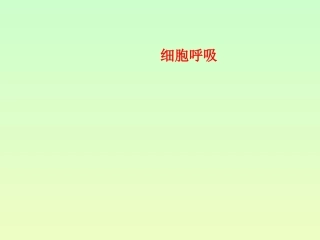 生物的呼吸作用