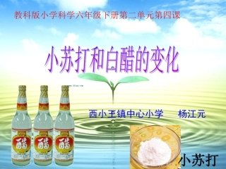 624小苏打和白醋的变化