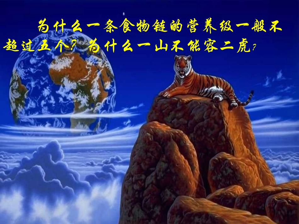 生态系统的能量流动_第2页