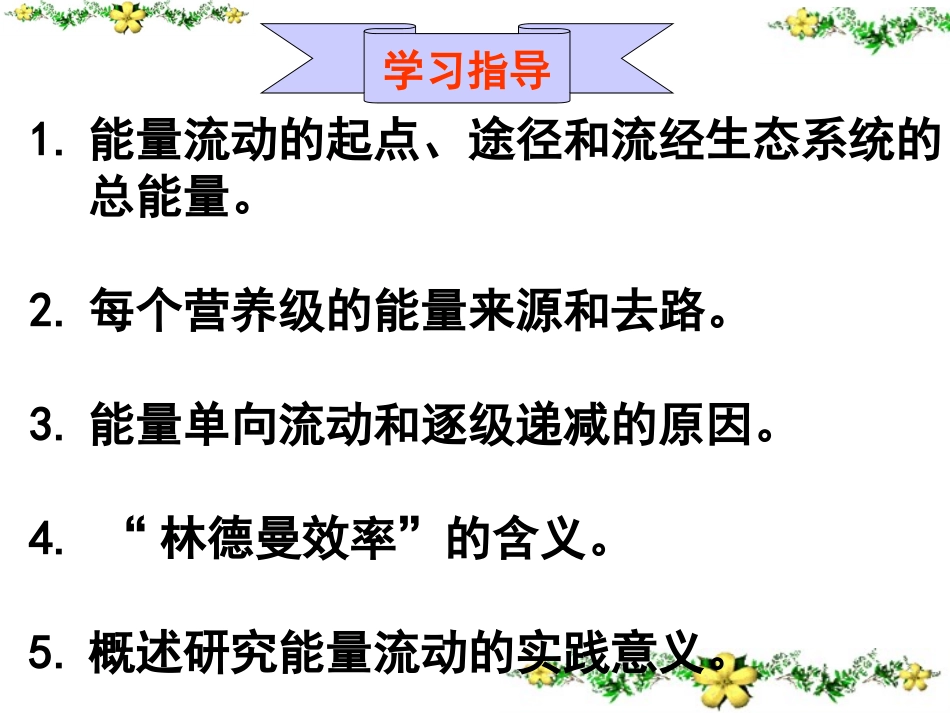 生态系统的能量流动_第3页