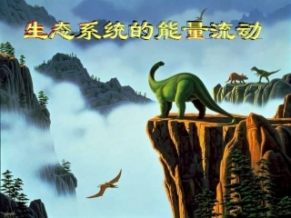 生态系统的能量流动