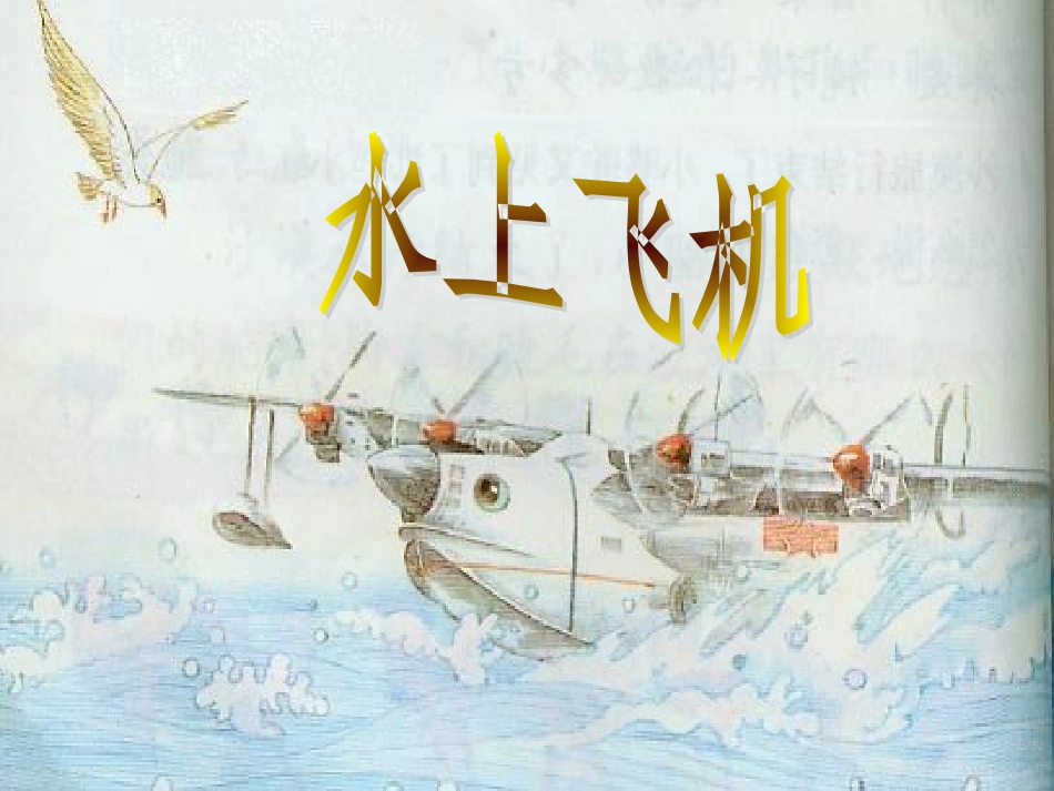 水上飞机 (2)_第1页