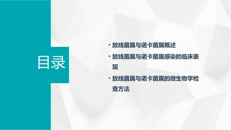人卫版医学微生物学之放线菌属与诺卡菌属教学护理课件_第2页