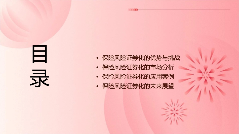 保险风险证券化研究课件1_第2页