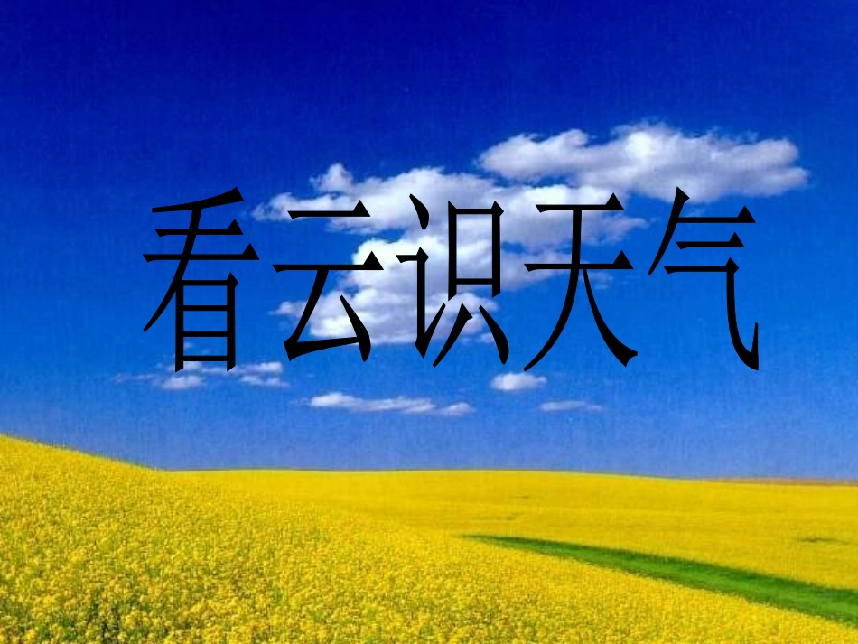 人教版初中语文七年级上册《看云识天气》课件_第1页