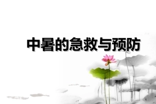 中暑的急救与预防孙