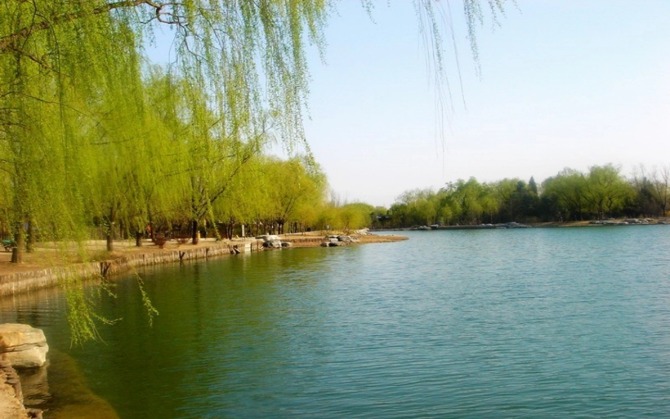 2015春三年级语文下册《春芽》课件1长春版_第3页