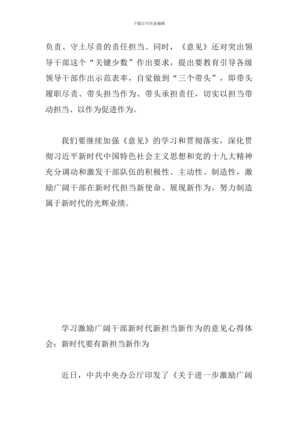 2024年激励干部新时代新担当新作为的意见读后感多篇汇编_第3页