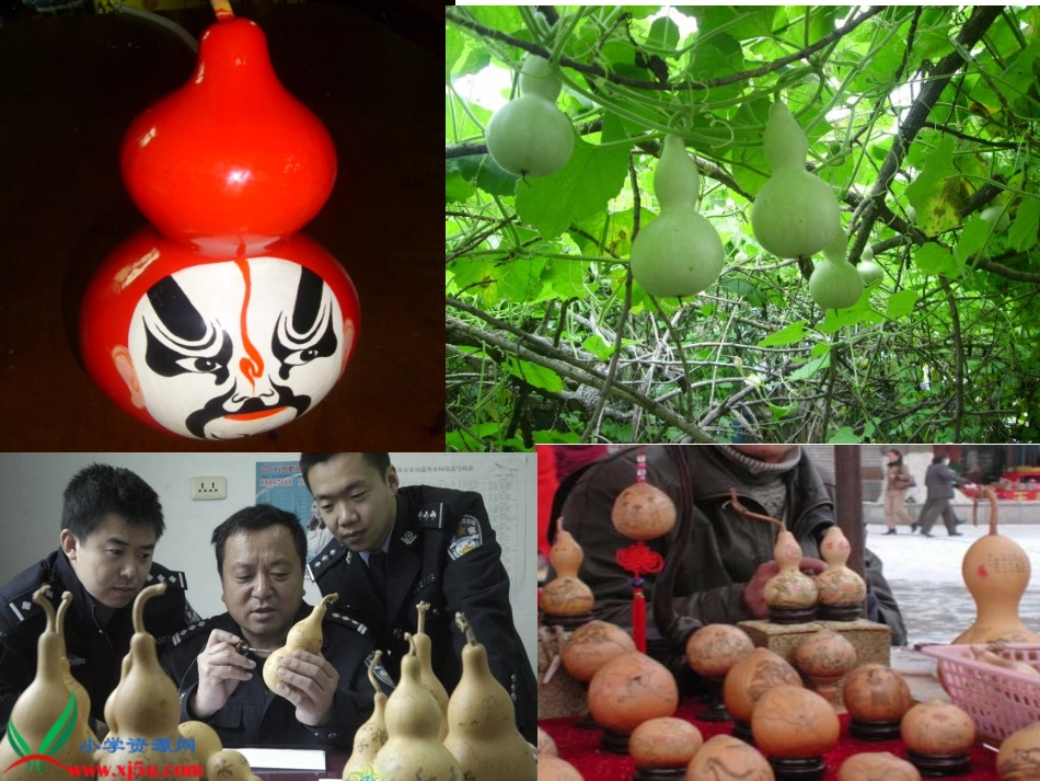 教科版二年级语文我要的是葫芦_1gdkj(1)_第2页