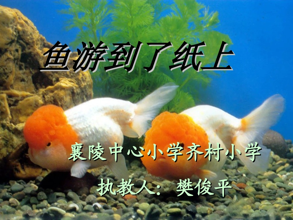 鱼游到了纸上课件_第1页