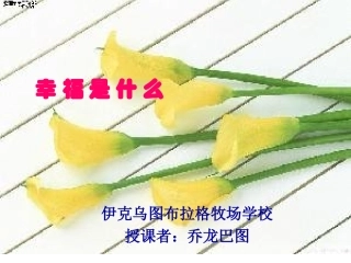 幸福是什么乔龙巴图