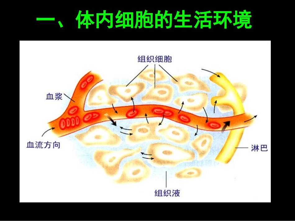 必修3第1章第一节细胞生活的环境（新14下）_第3页