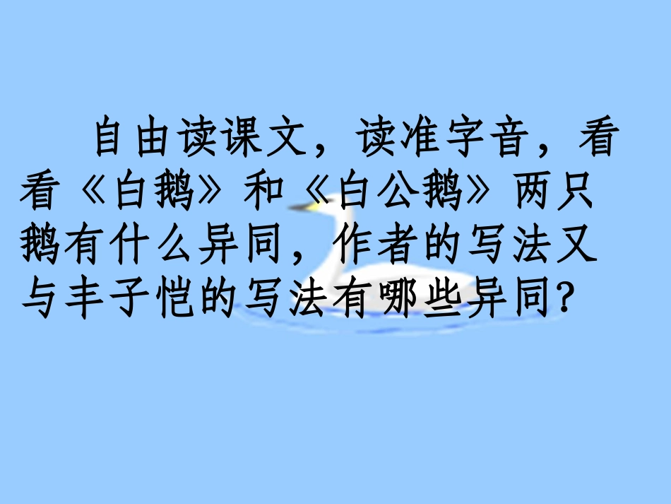 白公鹅（课件）_第3页