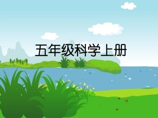 第八课减少对土地的侵蚀