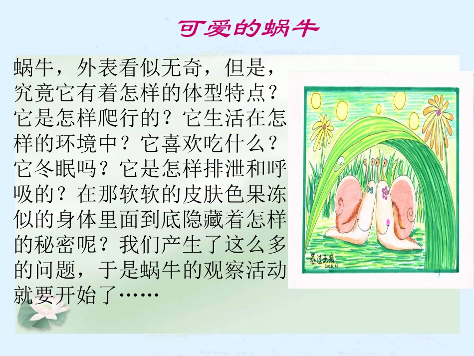 蜗牛（教科版）三年级科学上册PPT课件_第2页