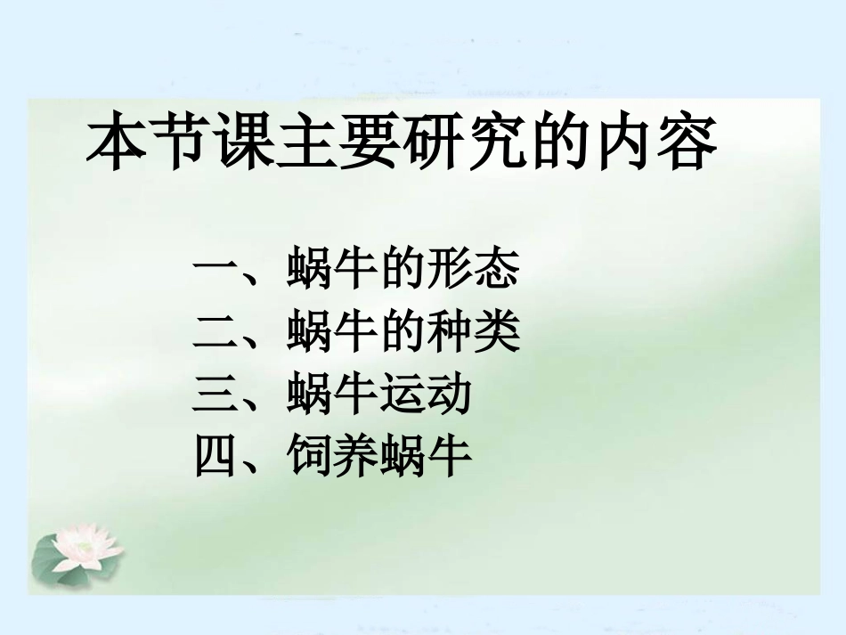 蜗牛（教科版）三年级科学上册PPT课件_第3页