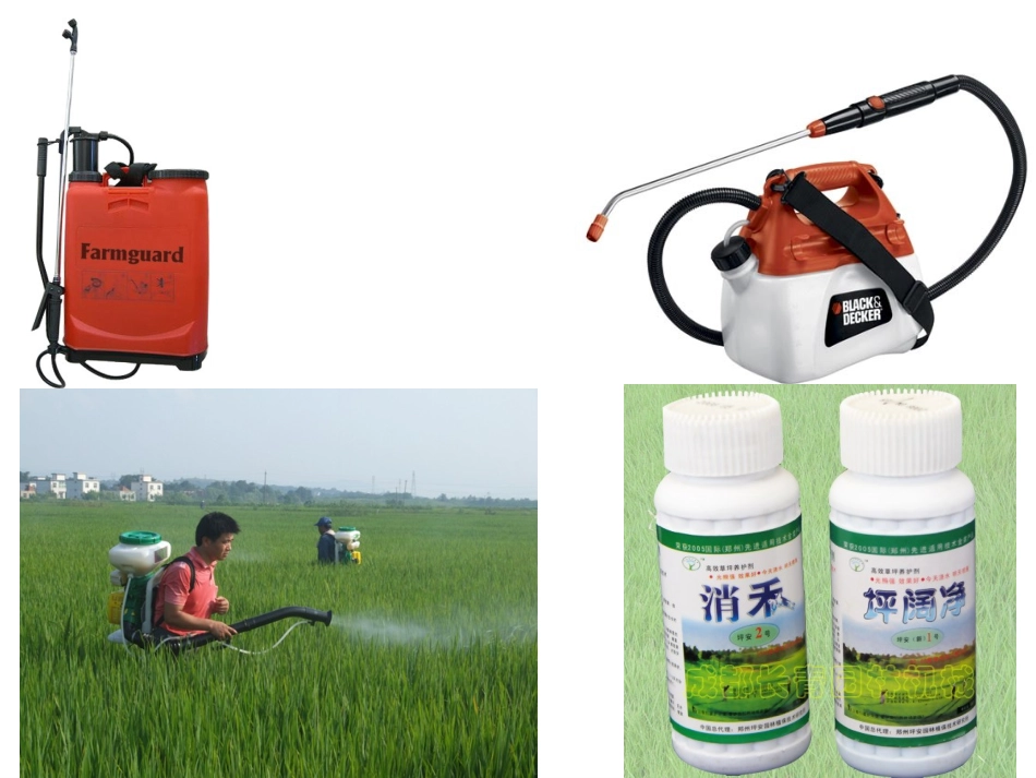 苏教版三上18小稻秧脱险记课件_第2页