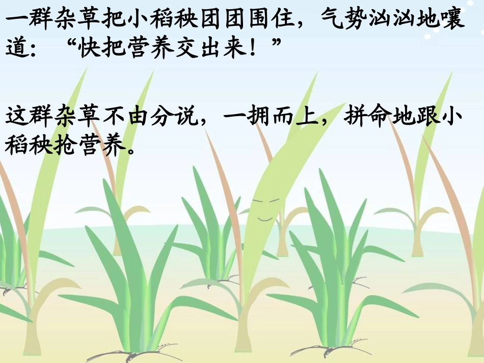 苏教版三上18小稻秧脱险记课件_第3页