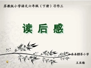 六下习作三课件