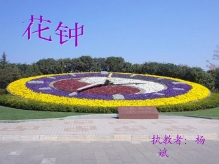 《花钟》(3)