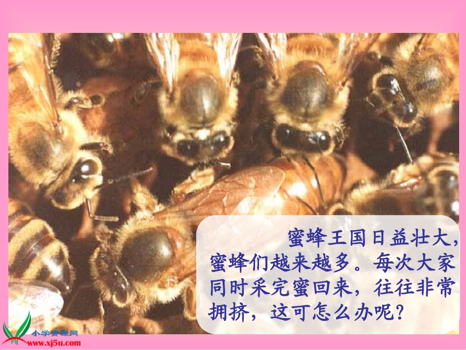 《找最小公倍数》PPT课件_第3页