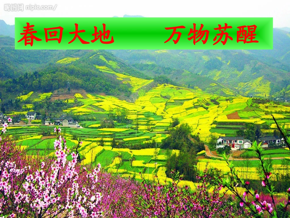 1春天在哪里课件_第3页