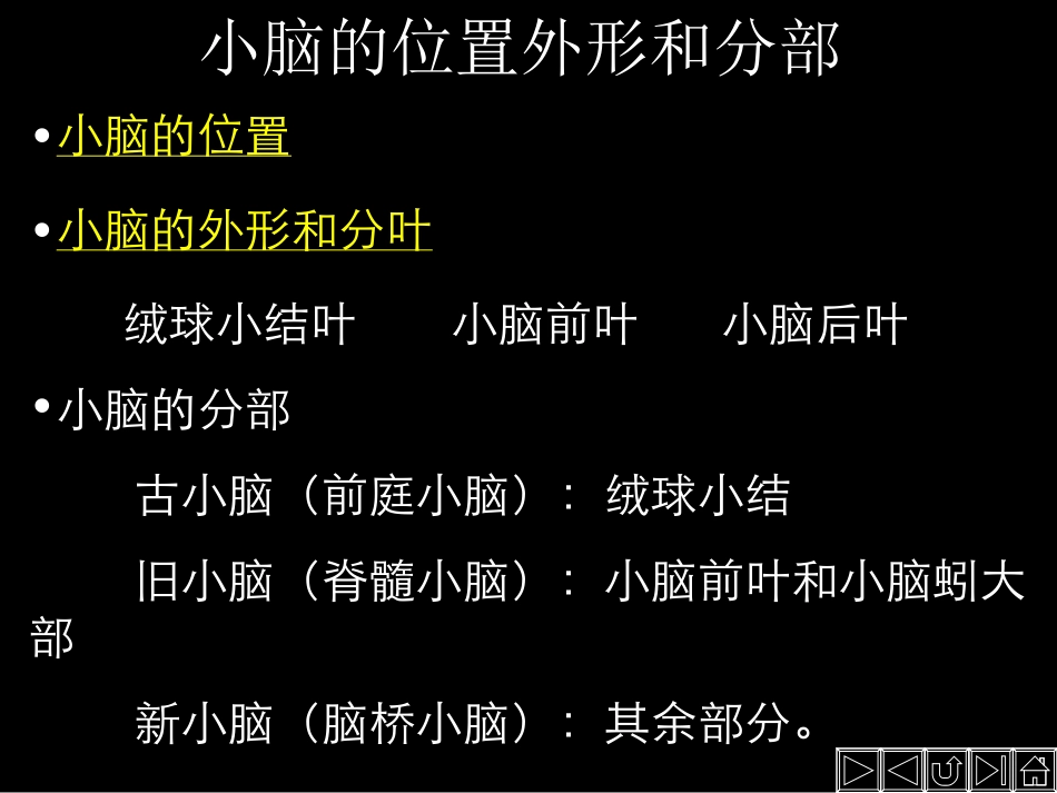 第四节——小脑_第2页