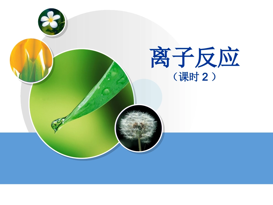 离子反应课时2_第1页