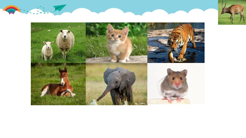 19大象的耳朵_第2页