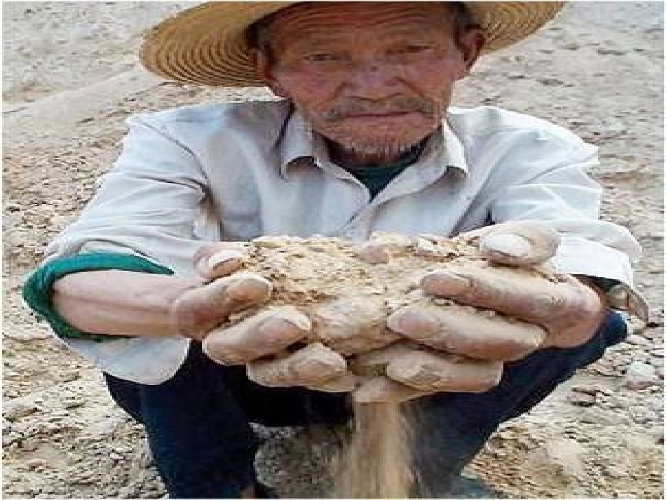 新人教21荒漠化的防治_第2页