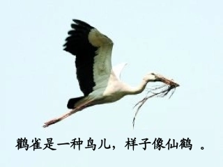 登鹳雀楼课件