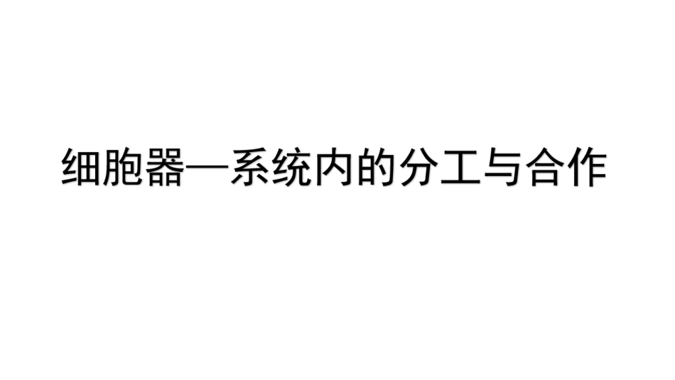 细胞器123_第1页