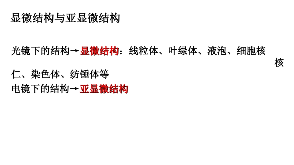 细胞器123_第2页