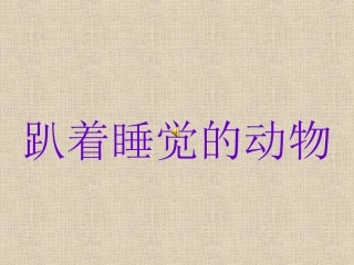 归类动物睡觉