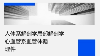 人体系统解剖学局部解剖学 心血管系统血管体循环护理课件1