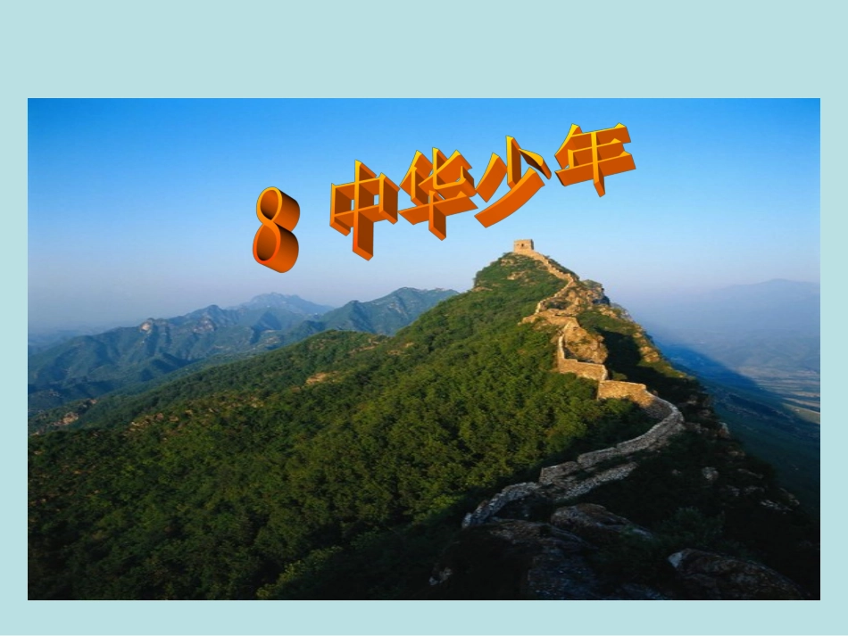 中华少年 (3)_第2页