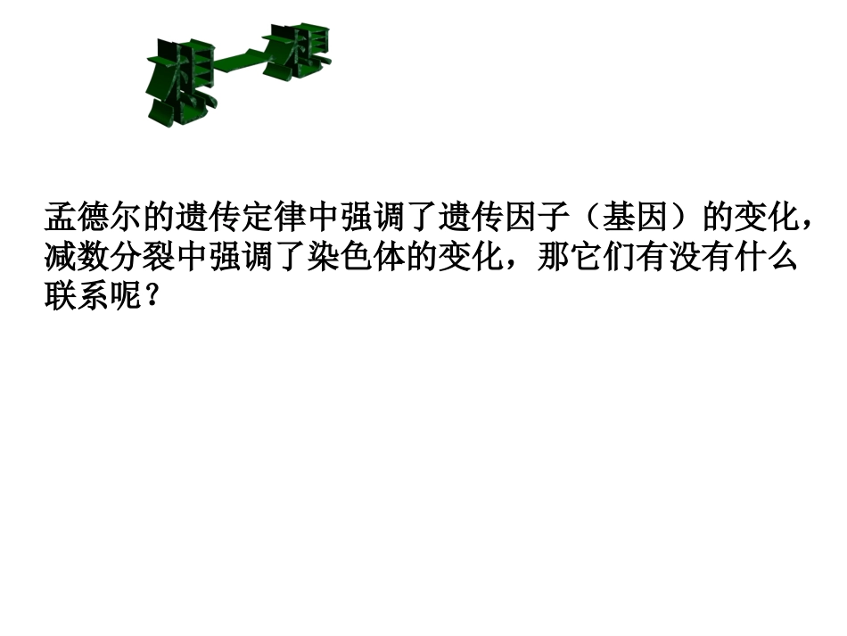 第2节基因在染色体上２１_第2页