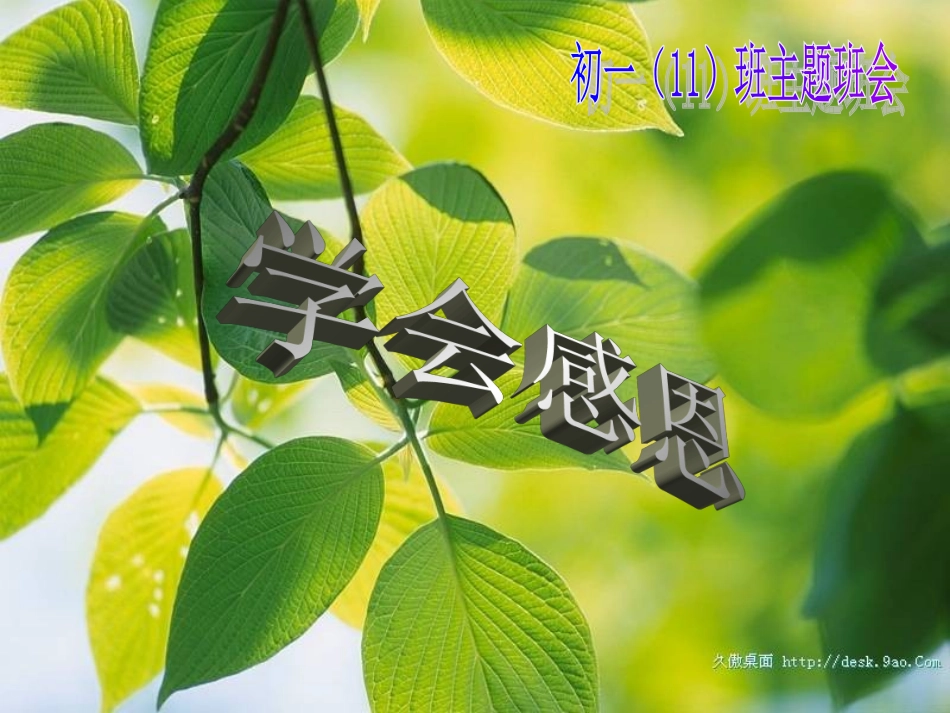 学会感恩 (2)_第1页