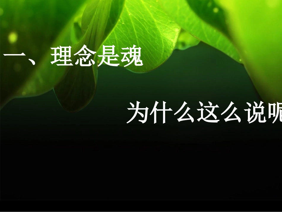 理念是魂，技能是体_第2页