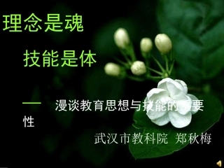 理念是魂，技能是体