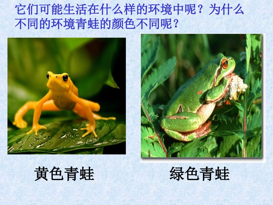 小学科学_六年级上册_《谁选择了它们》课件_第2页