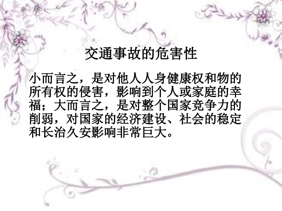 交通安全主题班会（共21张PPT）(1)_第3页