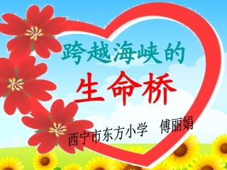 22跨越海峡的生命桥1